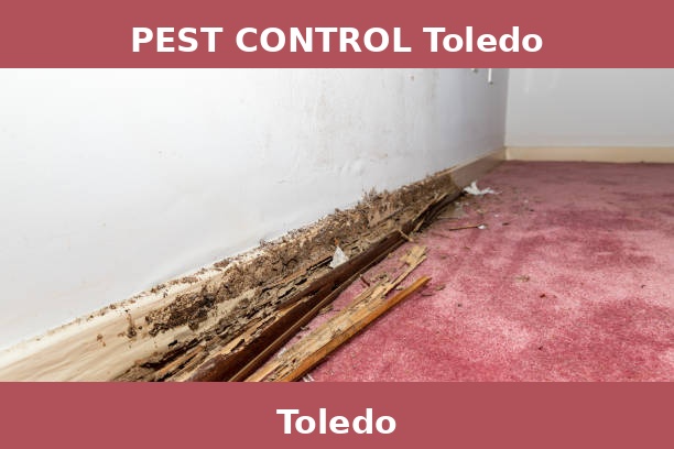 PEST CONTROL Toledo